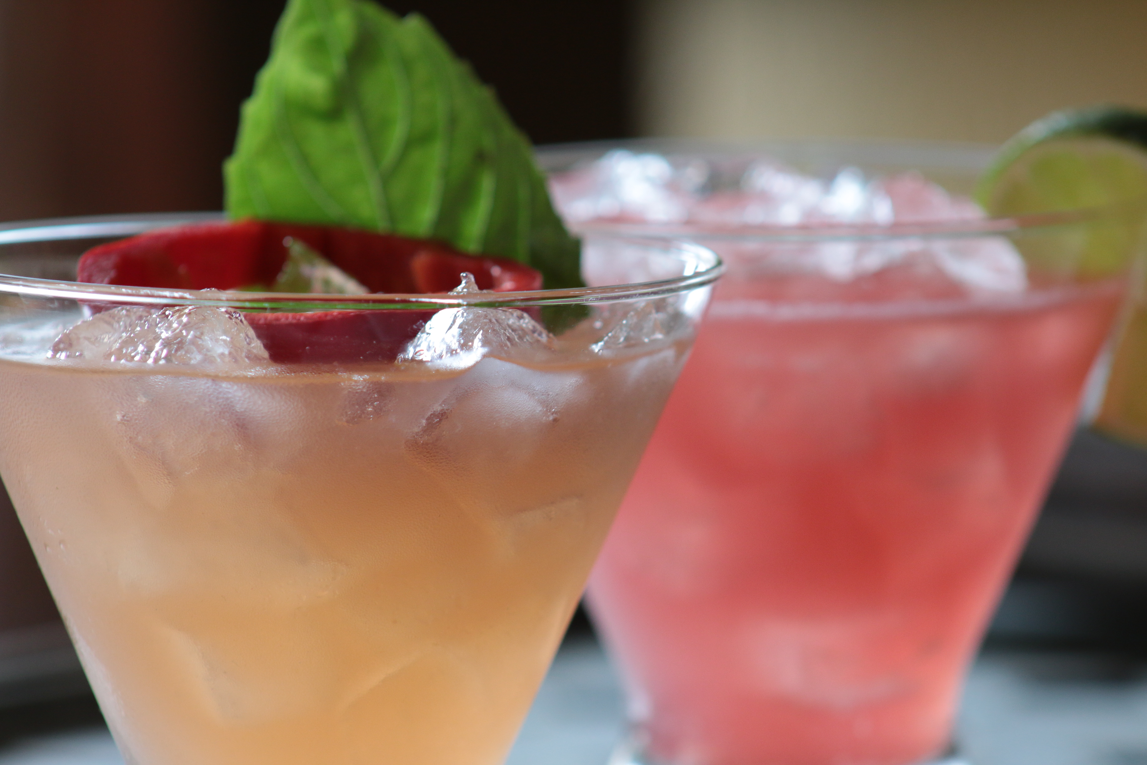 GoldenBiscuit review photo 3